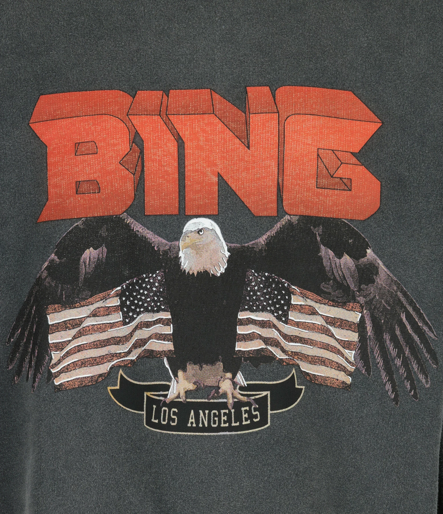 ANINE BING Sweatshirt Vintage Coton Noir 4 ANINE BING Sweatshirt Vintage Coton Noir – Image 2