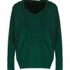 IDA DEGLIAME Pull Mon Hoodie Chérie Cachemire Vert Chrome -Boutique MAJESTIC FILATURES unnamed file 992